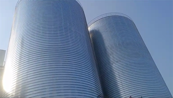 滨城2座混凝土高架卷板仓